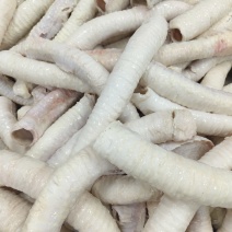 牛肺管