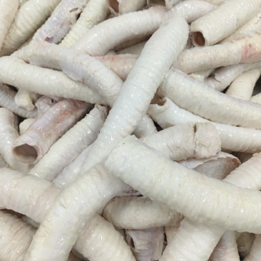 牛肺管