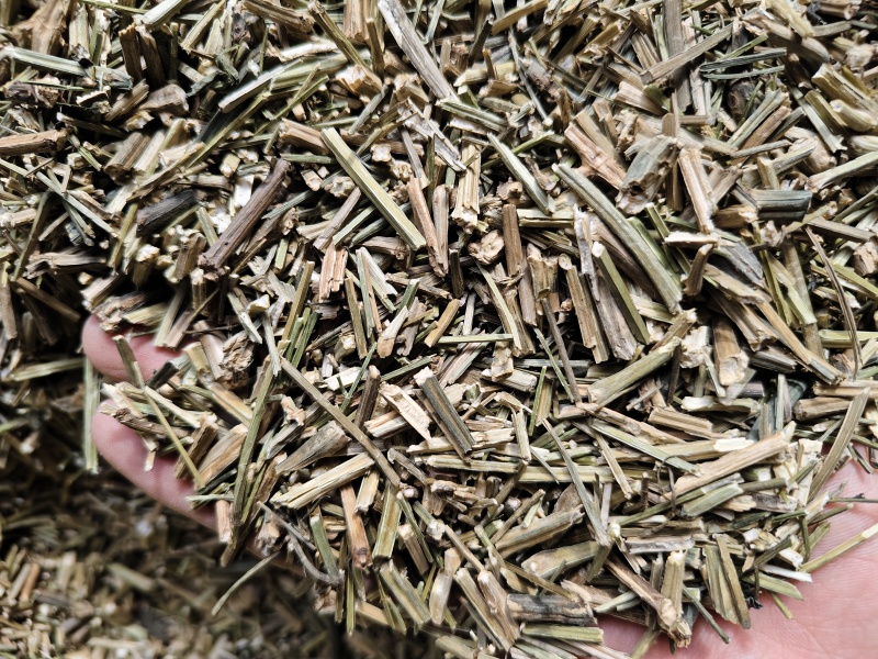 穿心莲批发零售穿心莲味苦量大从优