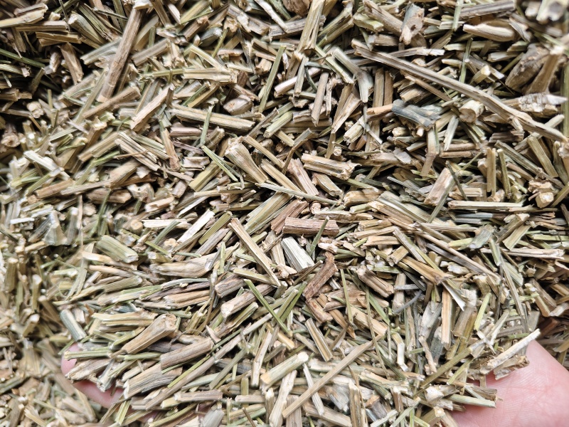 穿心莲批发零售穿心莲味苦量大从优