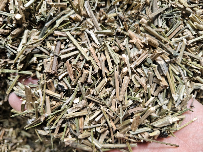 穿心莲批发零售穿心莲味苦量大从优