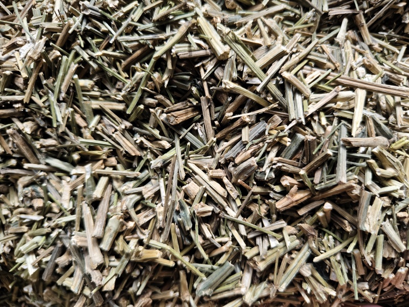 穿心莲批发零售穿心莲味苦量大从优