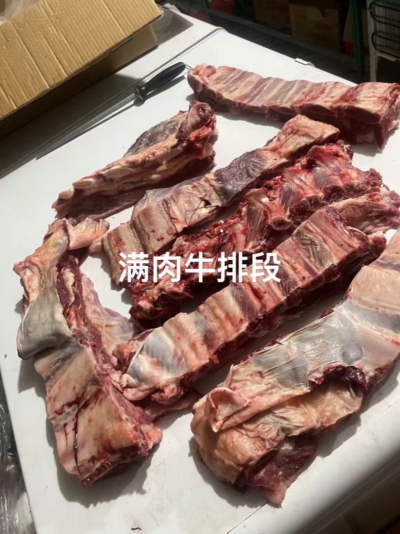 满肉母牛排切条。。。。。。。。。。。。。。。。