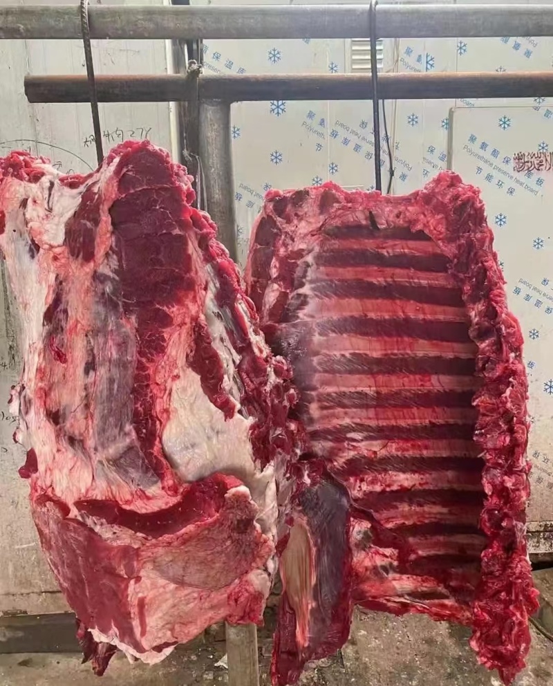 满肉母牛排切条。。。。。。。。。。。。。。。。