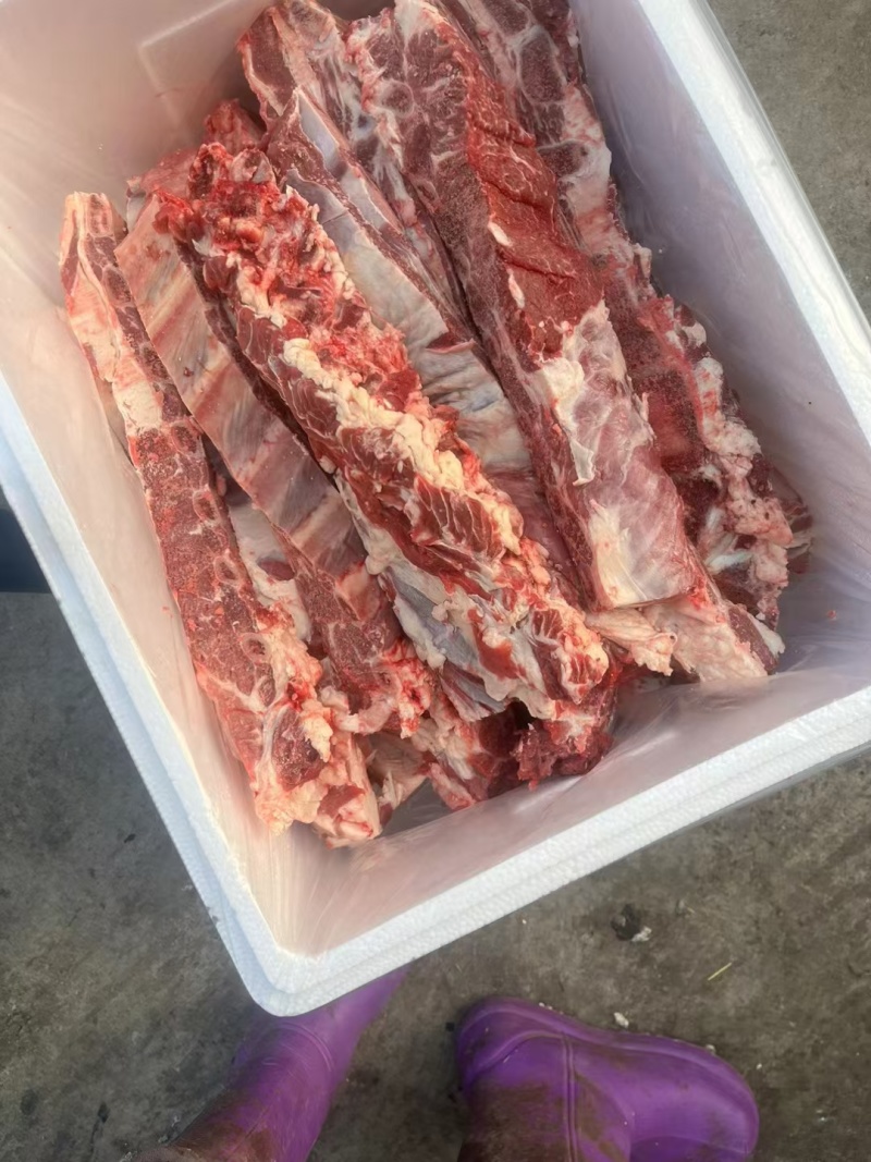满肉母牛排切条。。。。。。。。。。。。。。。。
