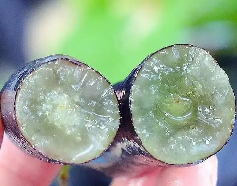 山西临汾乡宁县甜蜜蓝宝石葡萄