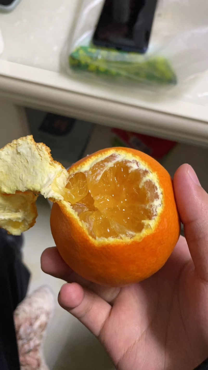 四川仁寿爱媛28号果冻橙