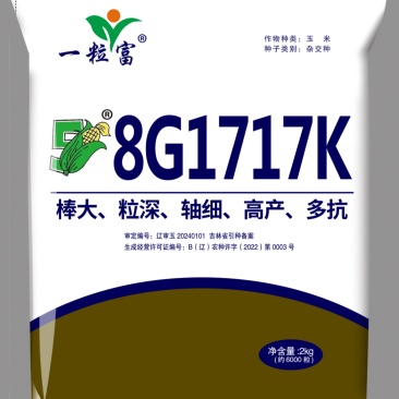 辽宁昌图玉米种/棒大/高产多抗/量大价优/欢迎咨询