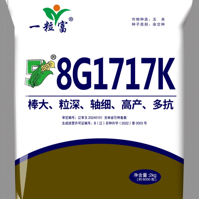 辽宁昌图玉米种/棒大/高产多抗/量大价优/欢迎咨询