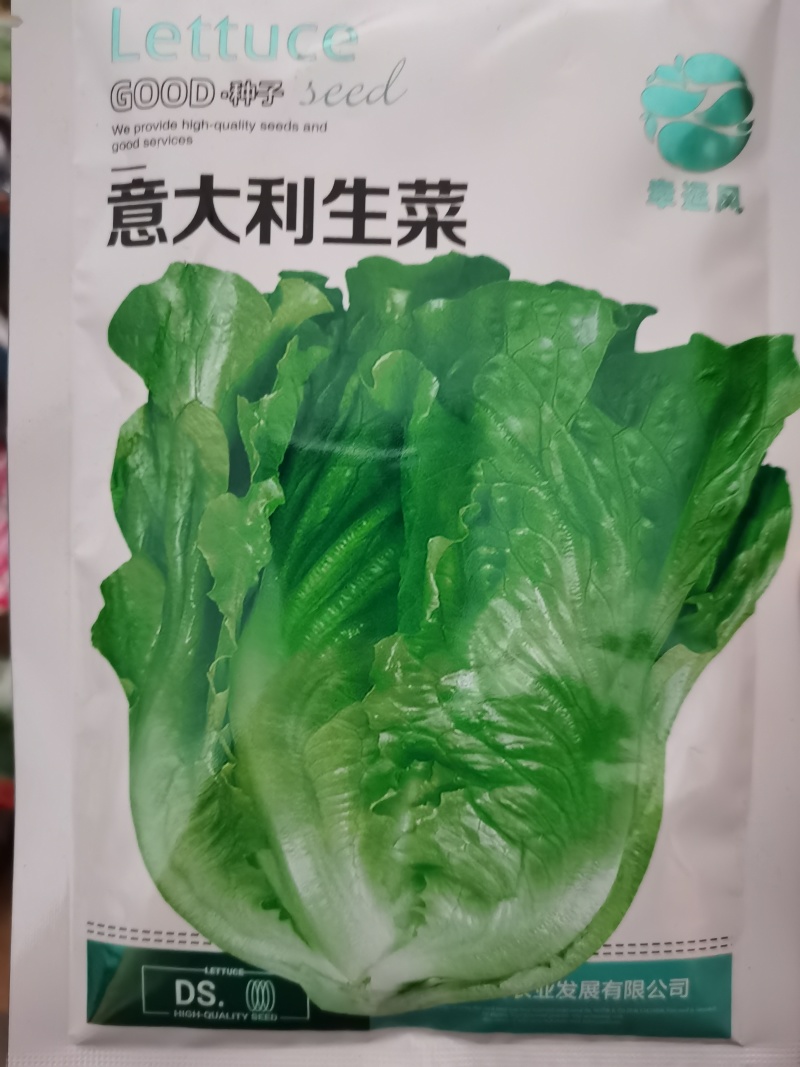 全年耐抽意大利耐热耐寒耐抽苔品质佳