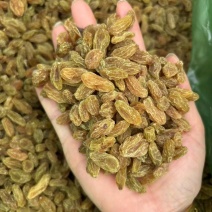 葡萄干绿葡萄干大量上市