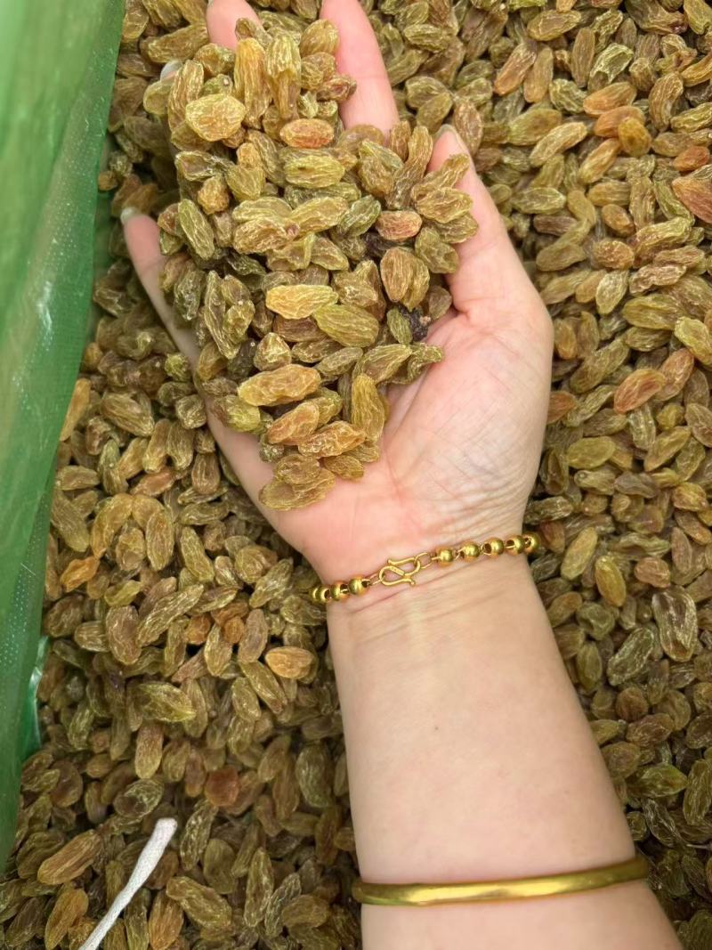 葡萄干绿葡萄干大量上市