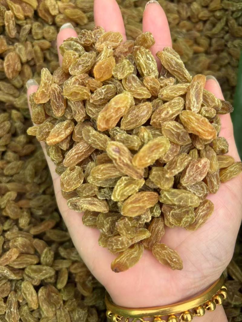 葡萄干绿葡萄干大量上市