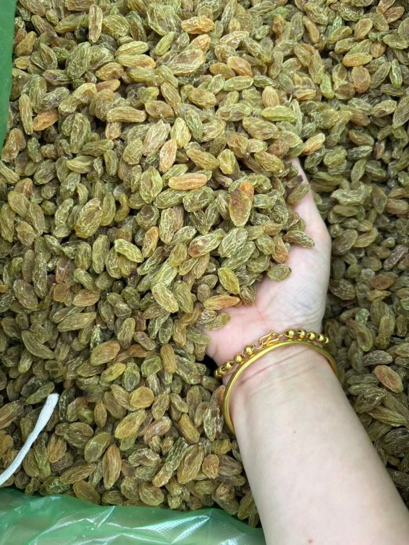 葡萄干绿葡萄干大量上市