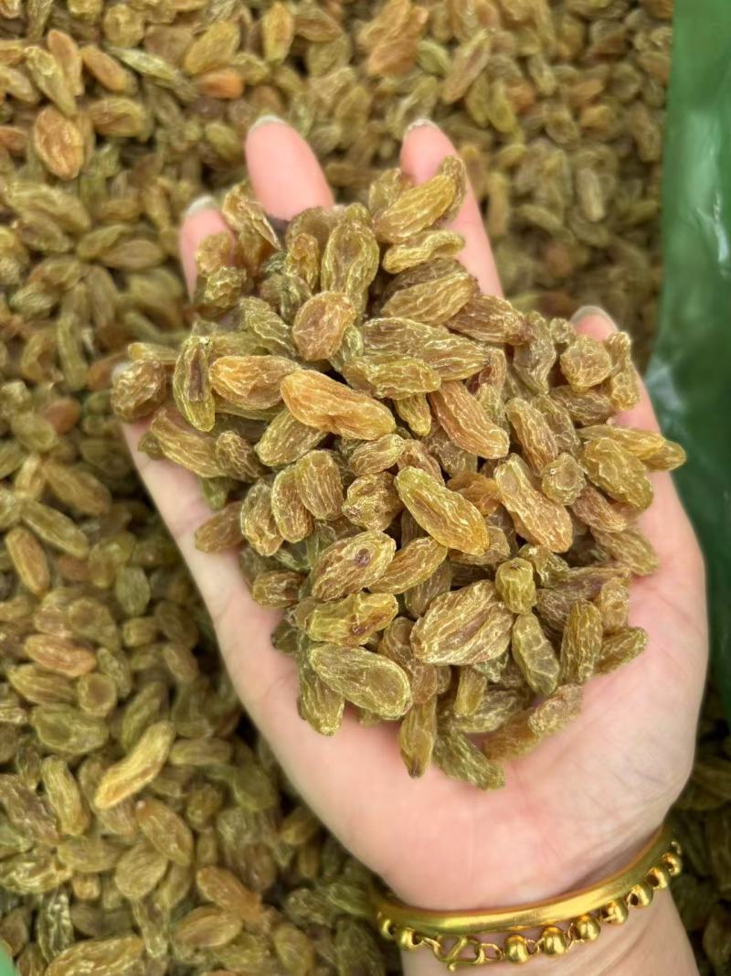 葡萄干绿葡萄干大量上市