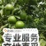 大量有货。榨汁果。电商。商超。市场货