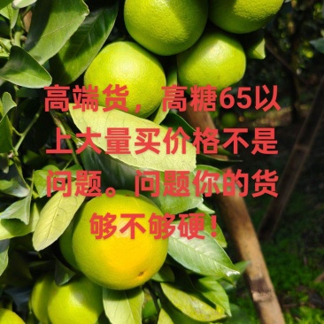 大量有货。榨汁果。电商。商超。市场货