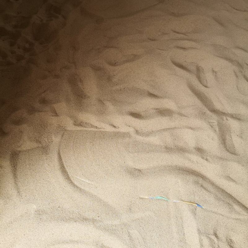 天须米