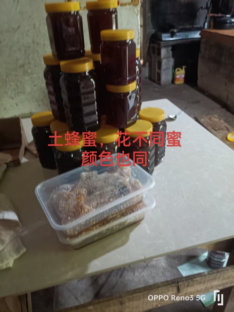 关山土蜂蜜