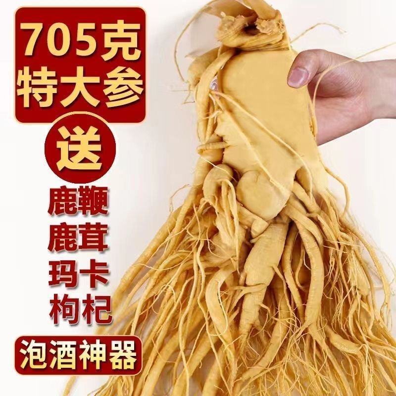 正品产白山特大老人参保鲜参泡酒煲汤送礼产地直发2025新