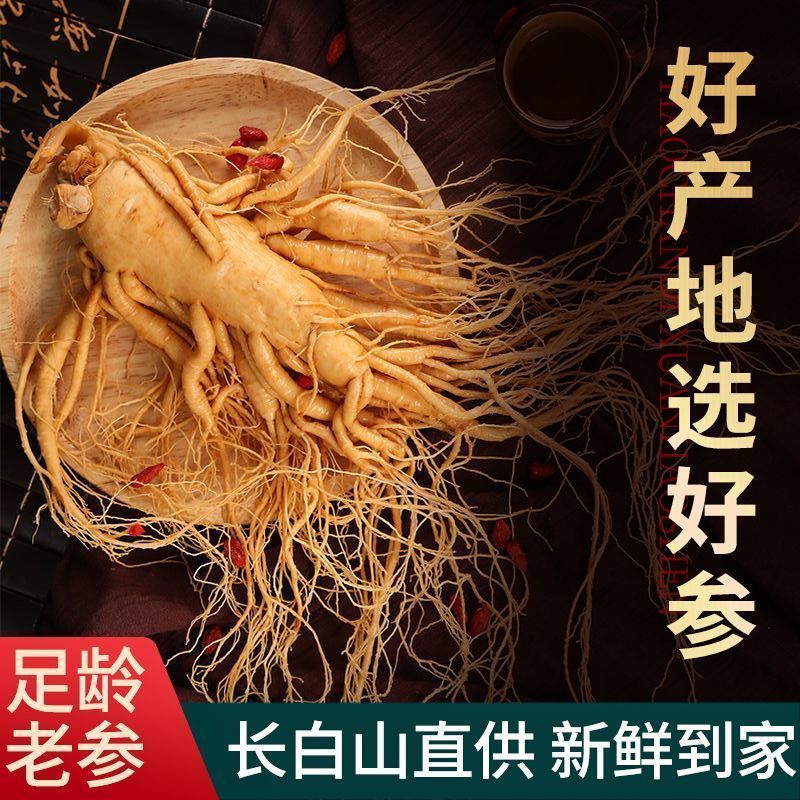 正品产白山特大老人参保鲜参泡酒煲汤送礼产地直发2025新