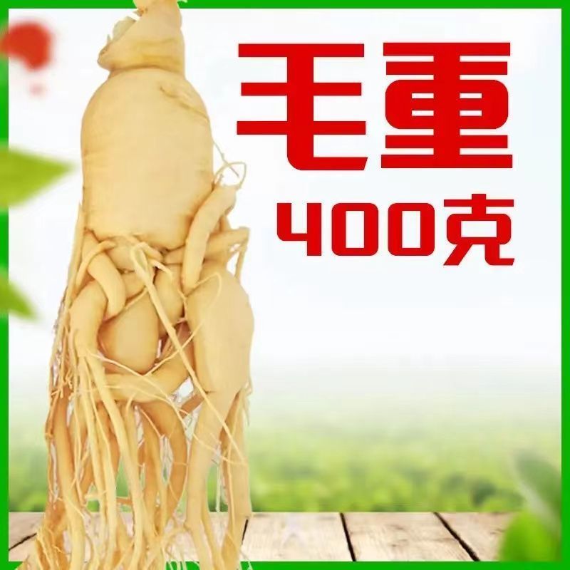 正品产白山特大老人参保鲜参泡酒煲汤送礼产地直发2025新