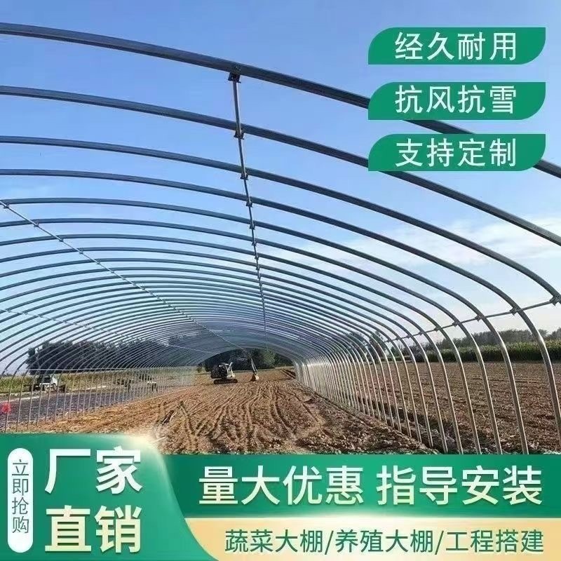 温室大棚钢管/种植大棚/养殖大棚/花卉大棚