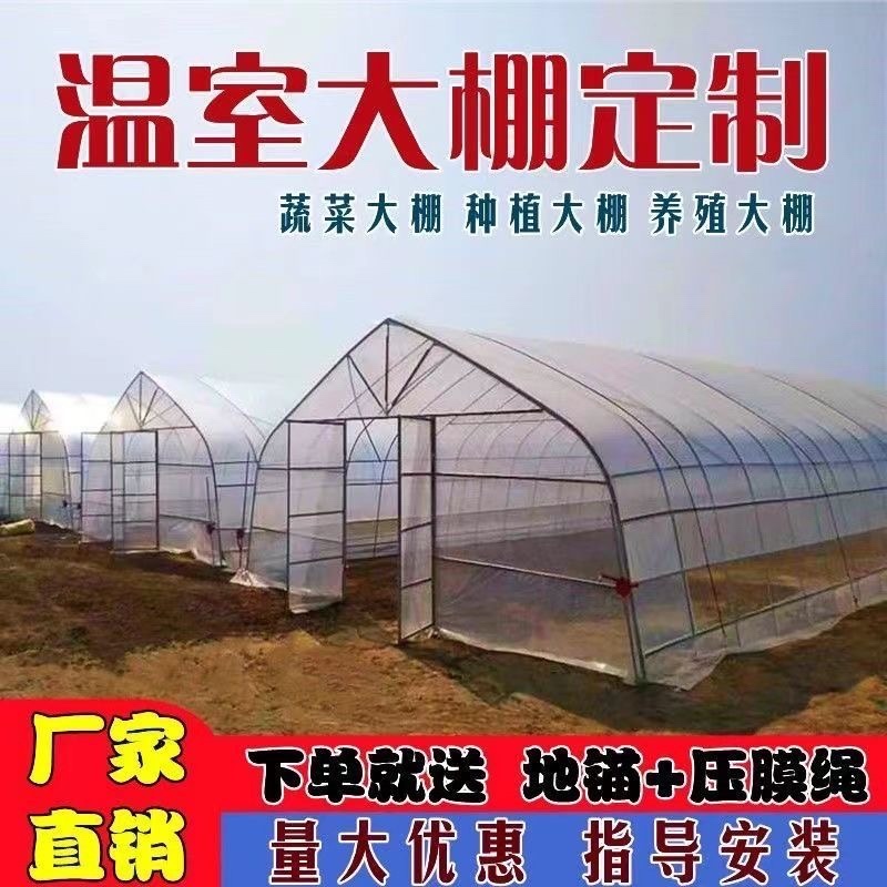 温室大棚钢管/种植大棚/养殖大棚/花卉大棚
