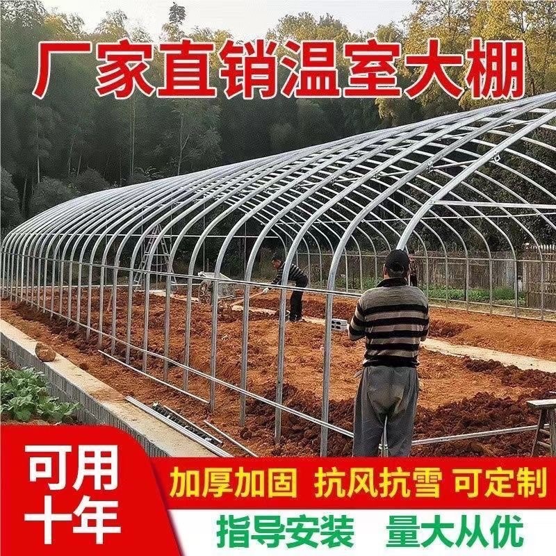 温室大棚钢管/种植大棚/养殖大棚/花卉大棚