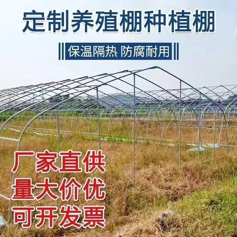 温室大棚钢管/种植大棚/养殖大棚/花卉大棚