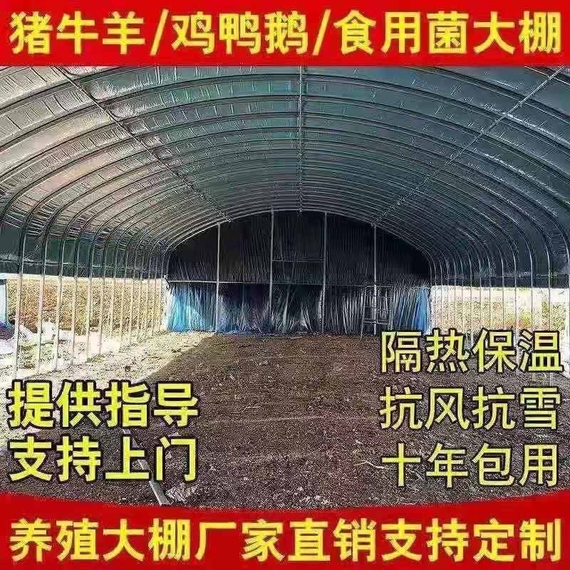 温室大棚钢管/种植大棚/养殖大棚/花卉大棚