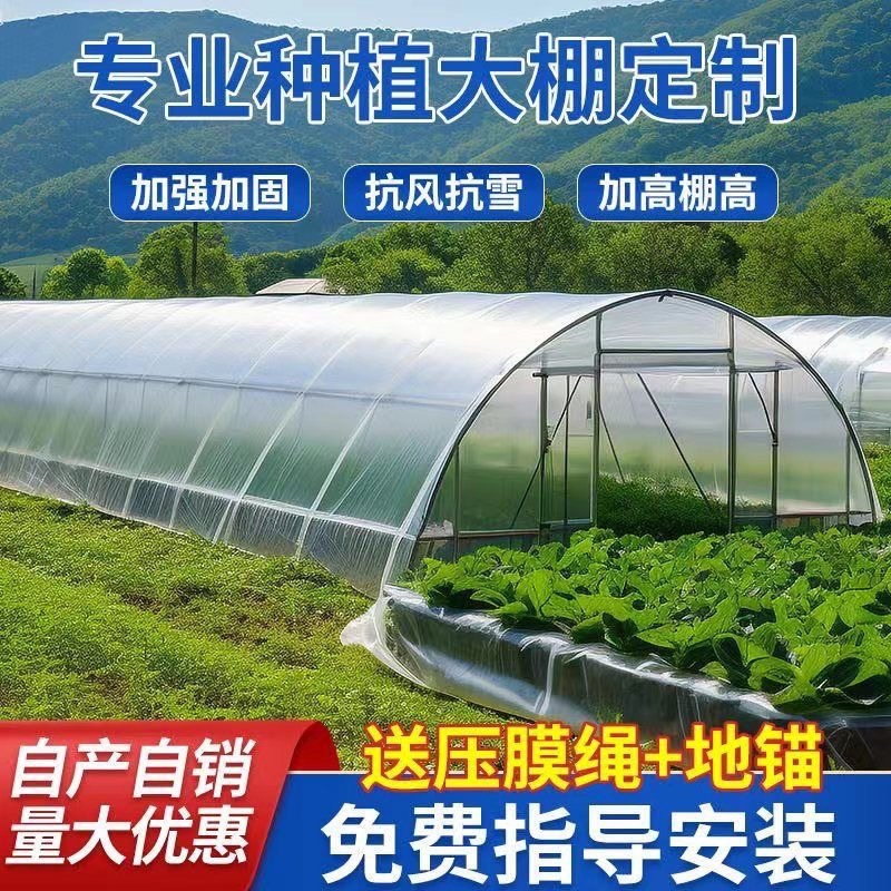 温室大棚钢管/种植大棚/养殖大棚/花卉大棚