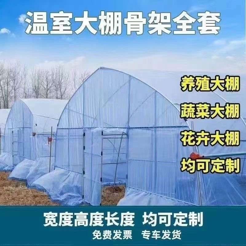 温室大棚钢管/种植大棚/养殖大棚/花卉大棚