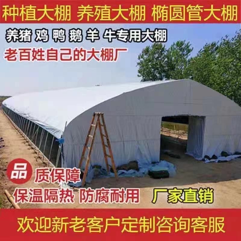 温室大棚骨架/种植养殖都可以/新旧骨架都有/