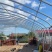温室大棚骨架/种植养殖都可以/新旧骨架都有/