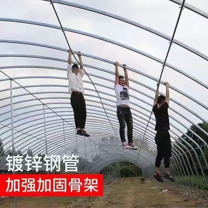 温室大棚骨架/种植养殖都可以/新旧骨架都有/