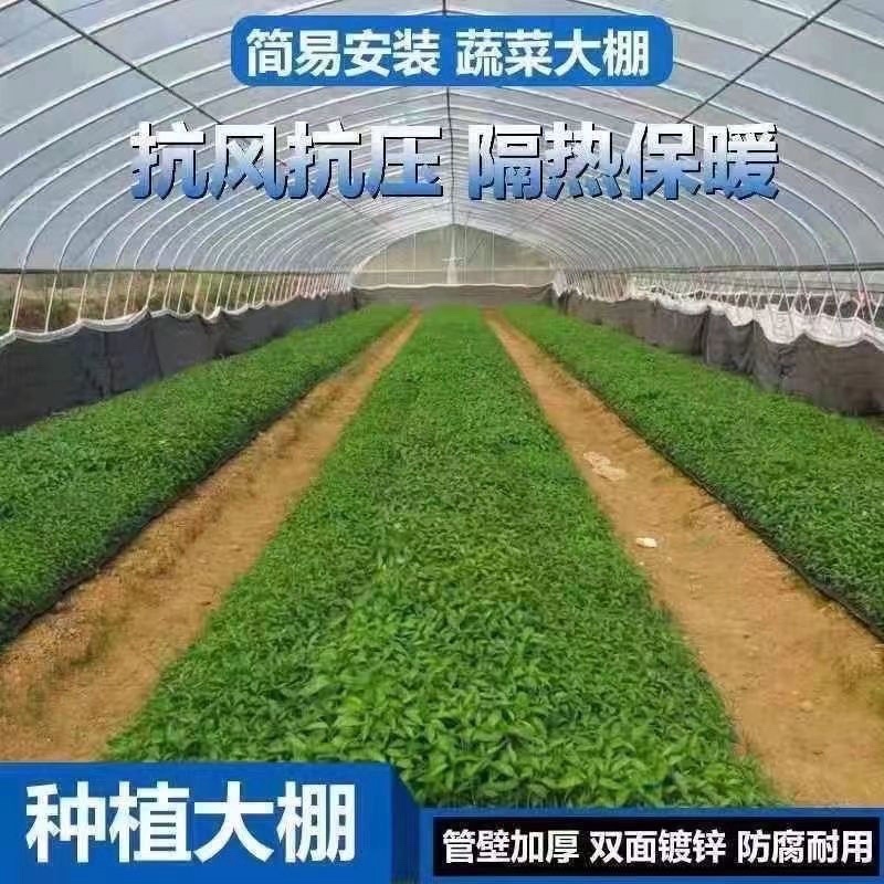 温室大棚骨架/种植养殖都可以/新旧骨架都有/