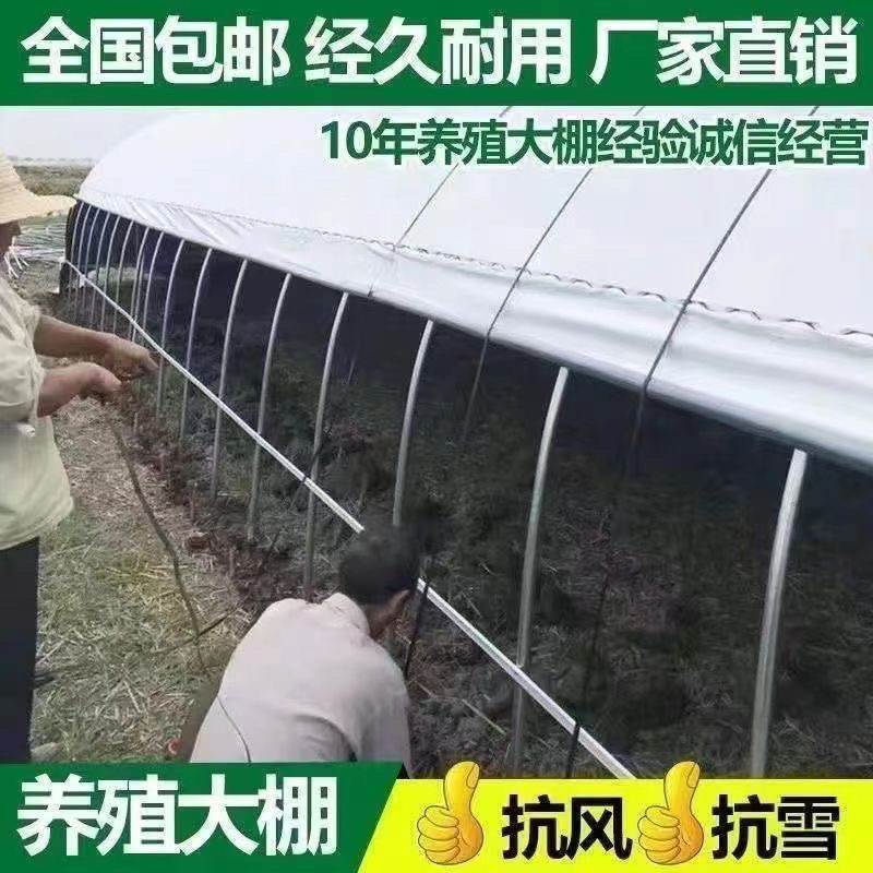 温室大棚骨架/种植养殖都可以/新旧骨架都有/