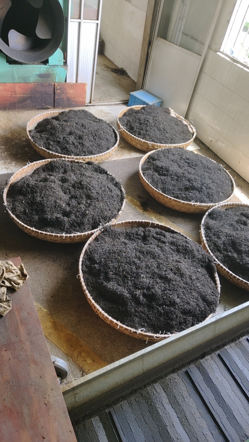 遂昌红茶正山小种工艺