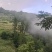 遂昌红茶正山小种工艺