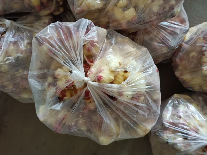 生姜产地直销，商超货质量好，一手货源诚信经营