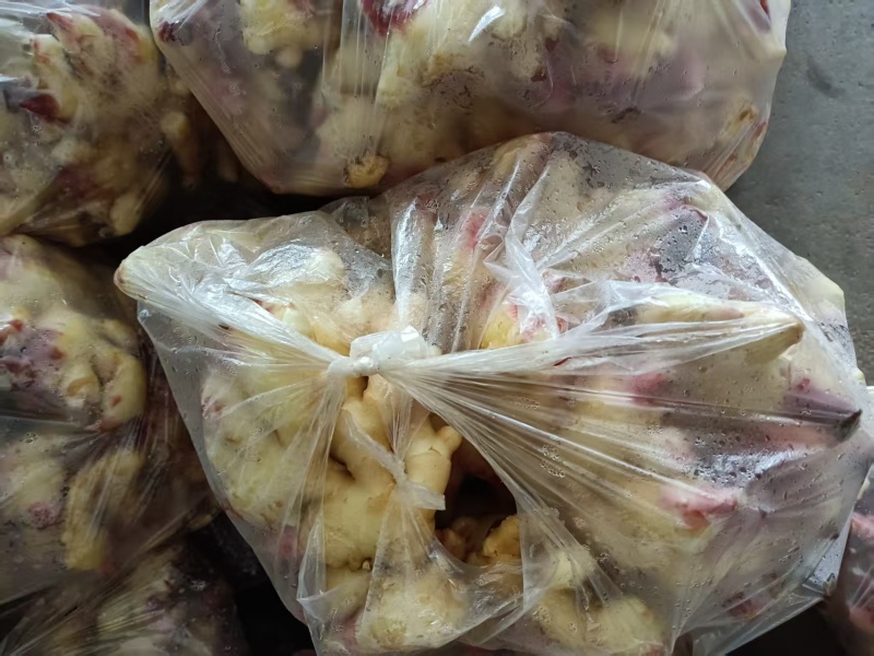 生姜产地直销，商超货质量好，一手货源诚信经营