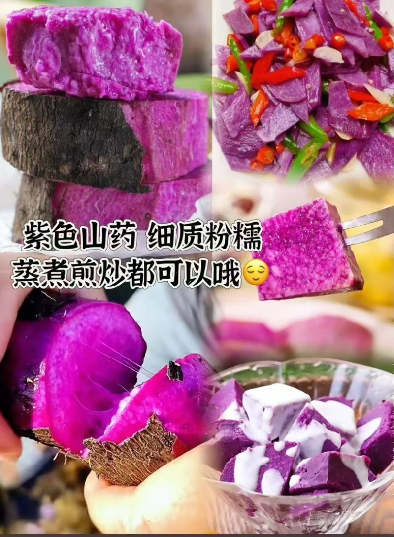 云南紫山药自家种植农户