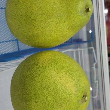 柚子