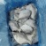 鲳鱼白鲳鱼小平鱼深海鱼单冻冰衣箱装80-100