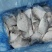 鲳鱼白鲳鱼小平鱼深海鱼单冻冰衣箱装80-100