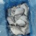 鲳鱼白鲳鱼小平鱼深海鱼单冻冰衣箱装80-100