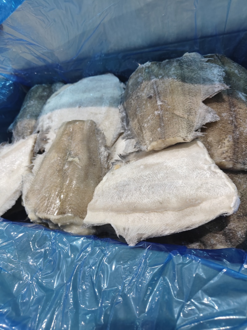鲽鱼比目鱼考察家鲽鱼深海鱼单重1斤左右