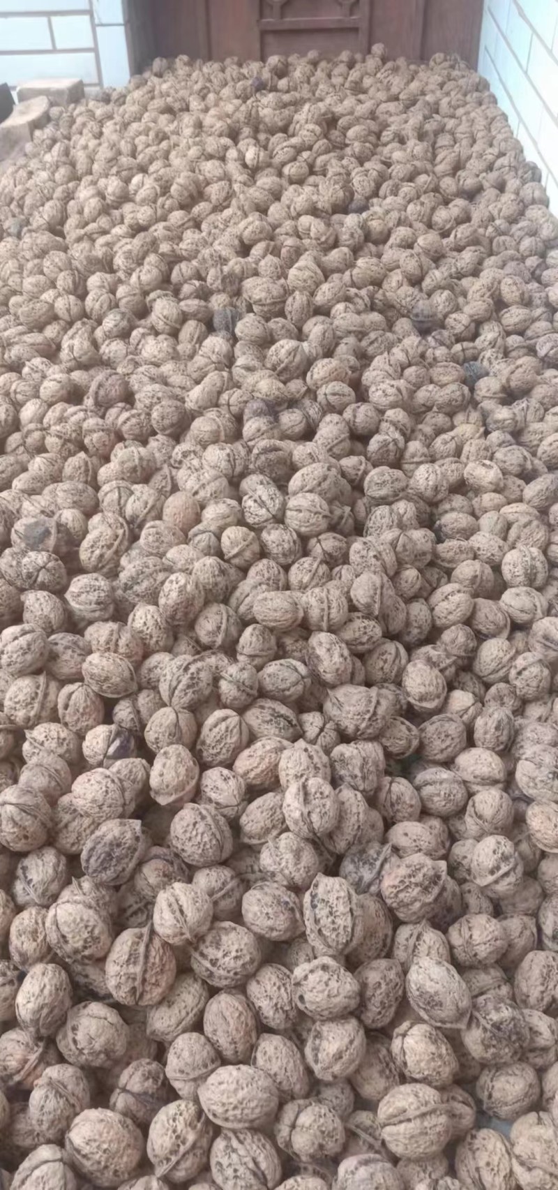楚雄大姚核桃