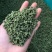 重庆江津花椒